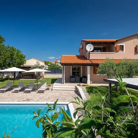 Activity Villa Gita With Pool And Grill In Tinjan Kültér fotó