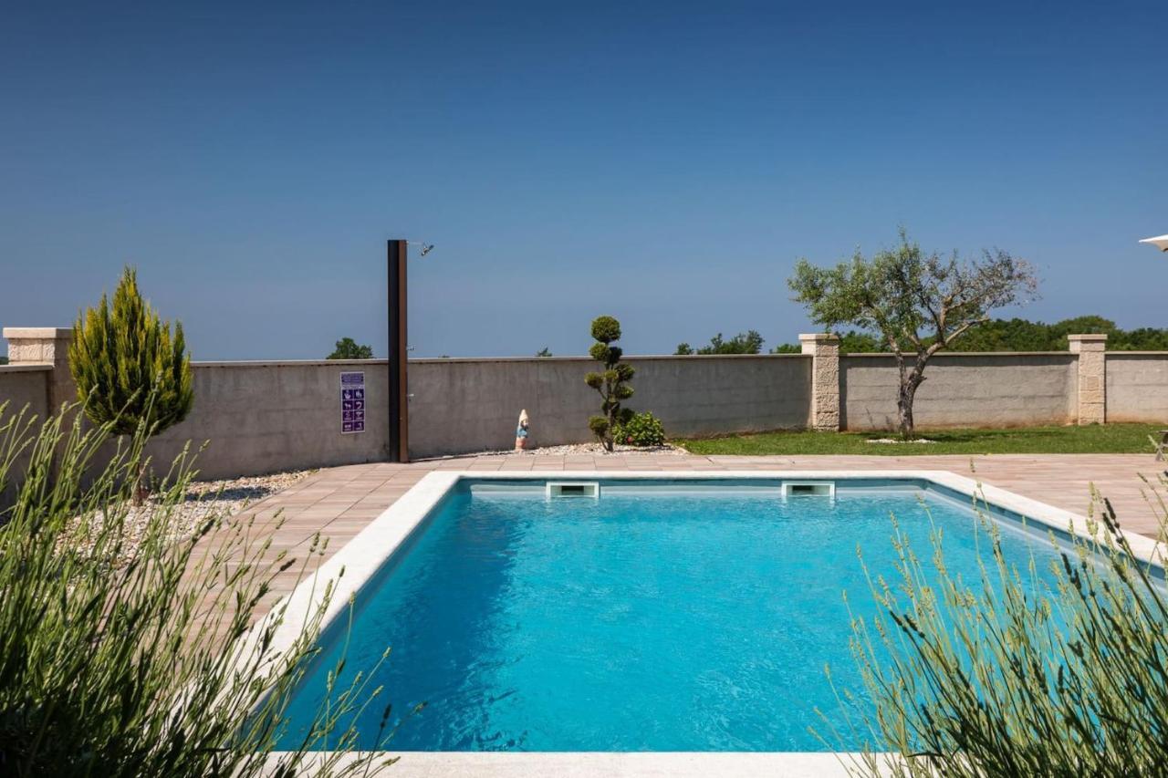 Activity Villa Gita With Pool And Grill In Tinjan Kültér fotó